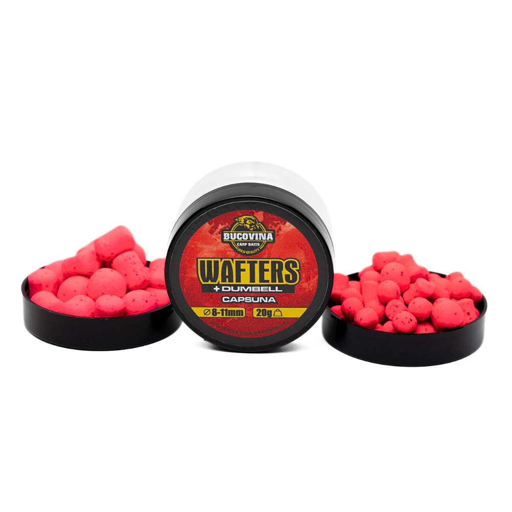 Wafters Bucovina Baits (5)